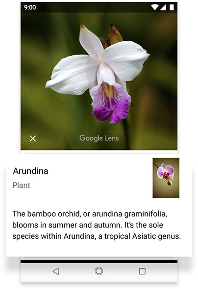 Phone screen displaying Google Lens feature on Android One